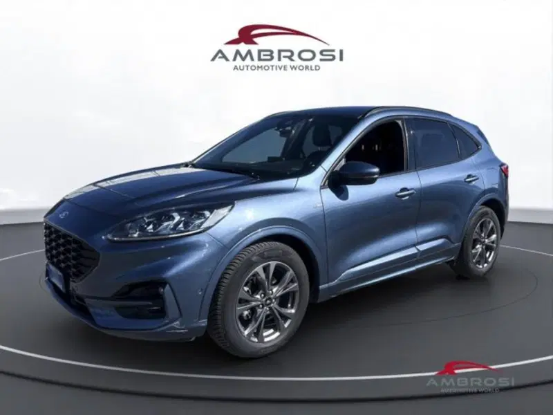 Ford Kuga usata a Perugia