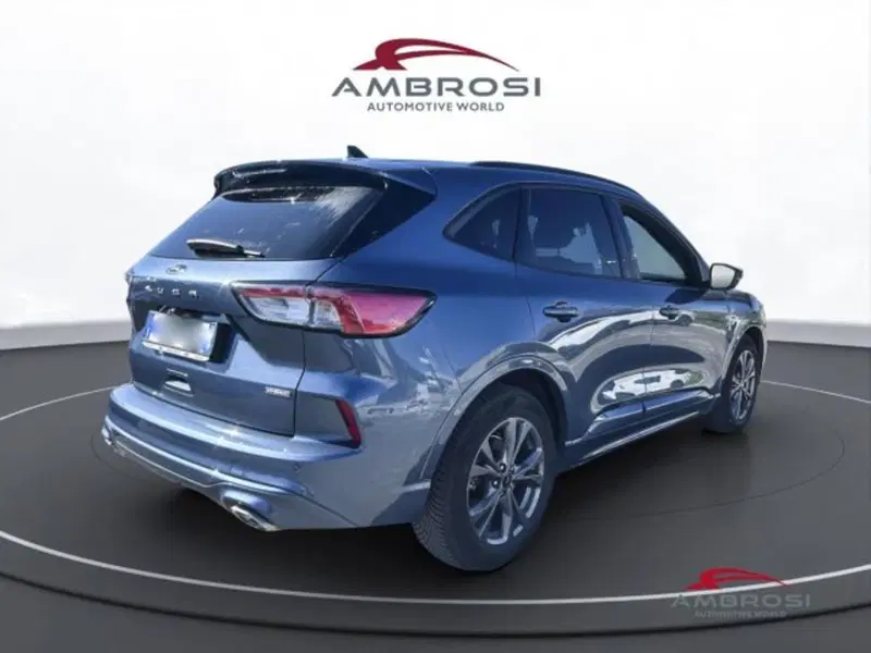 Ford Kuga usata a Perugia (3)