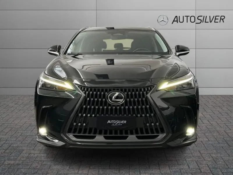 Lexus NX usata a Verona (3)