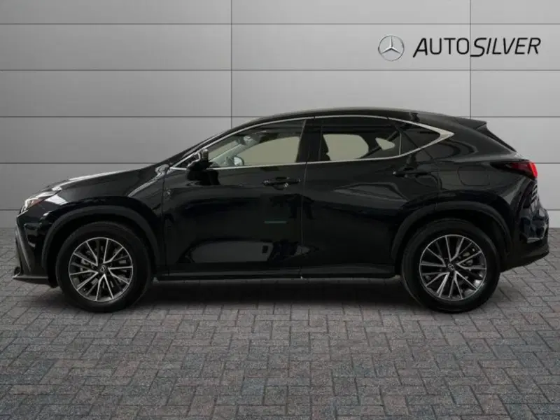Lexus NX usata a Verona (6)