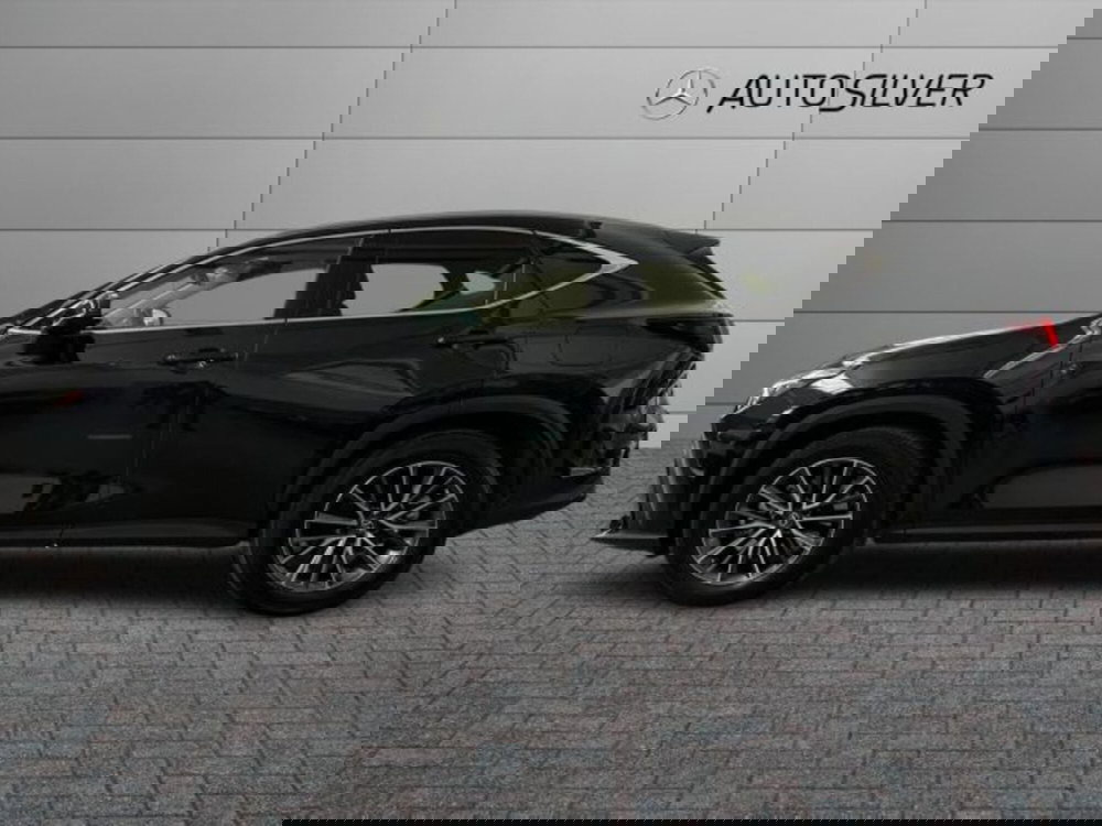 Lexus NX usata a Verona (6)