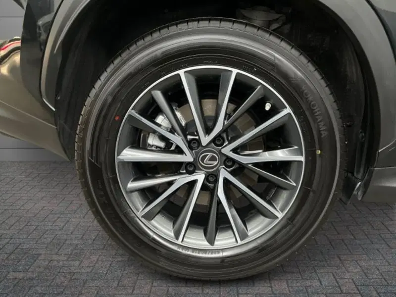 Lexus NX usata a Verona (7)