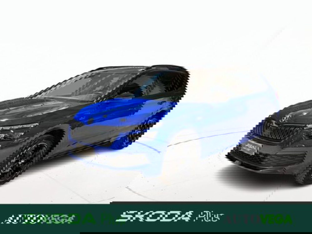 Skoda Kamiq usata a Vicenza