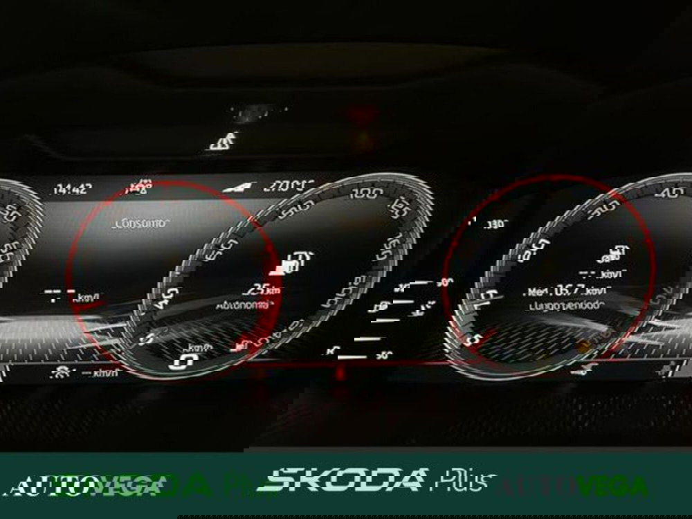 Skoda Kamiq usata a Vicenza (14)