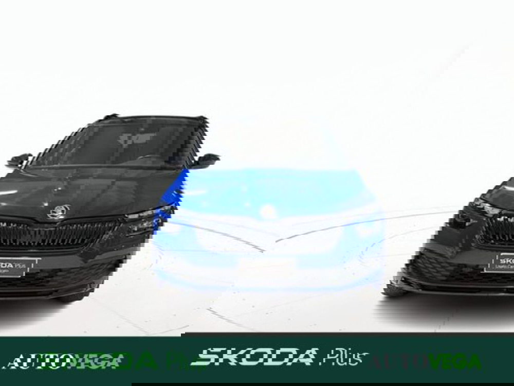 Skoda Kamiq usata a Vicenza (2)