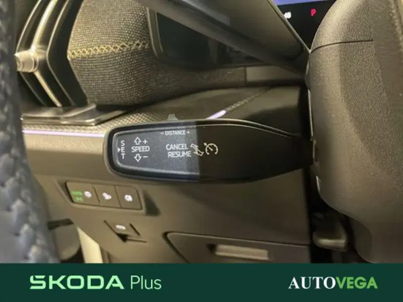 Skoda Kodiaq usata a Vicenza (16)