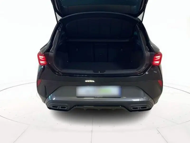 Cupra Leon usata a Vicenza (19)