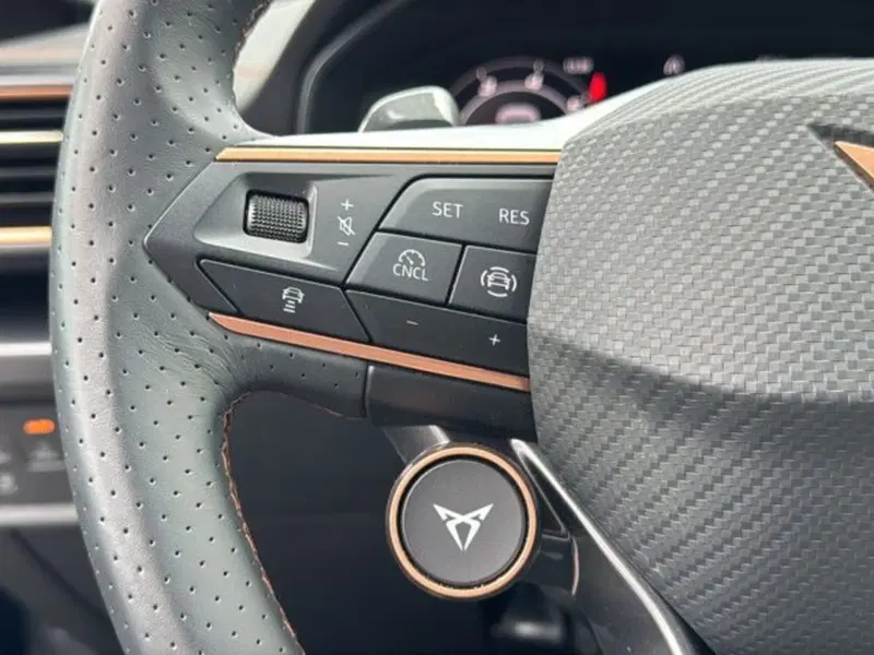 Cupra Formentor usata a Vicenza (19)