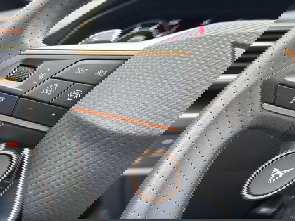 Cupra Formentor usata a Vicenza (19)