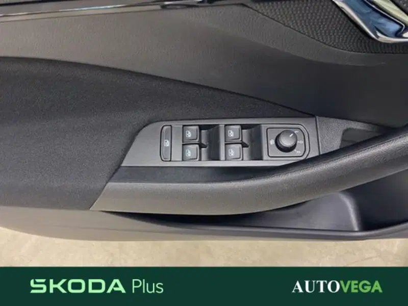 Skoda Kamiq usata a Vicenza (15)