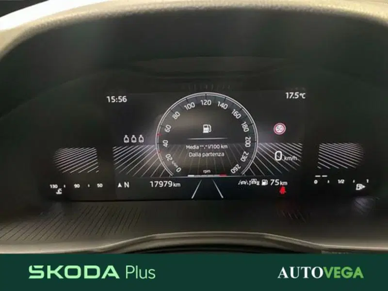 Skoda Kamiq usata a Vicenza (13)