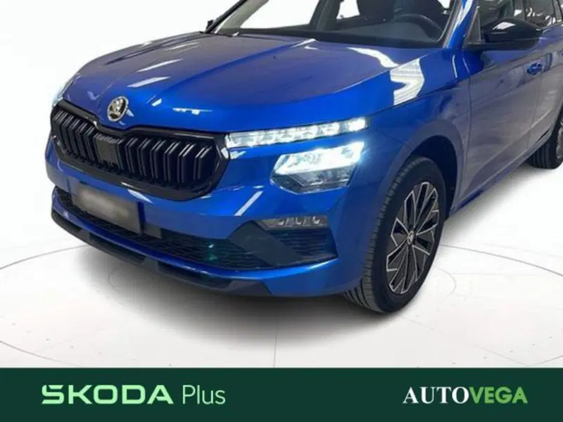 Skoda Kamiq usata a Vicenza (19)
