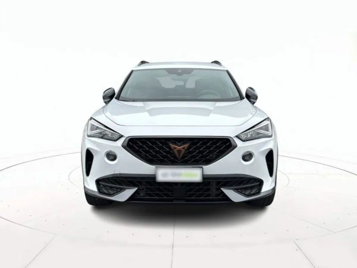 Cupra Formentor usata a Vicenza (2)