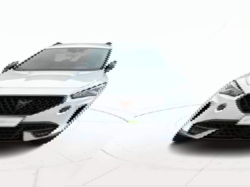 Cupra Formentor usata a Vicenza (2)