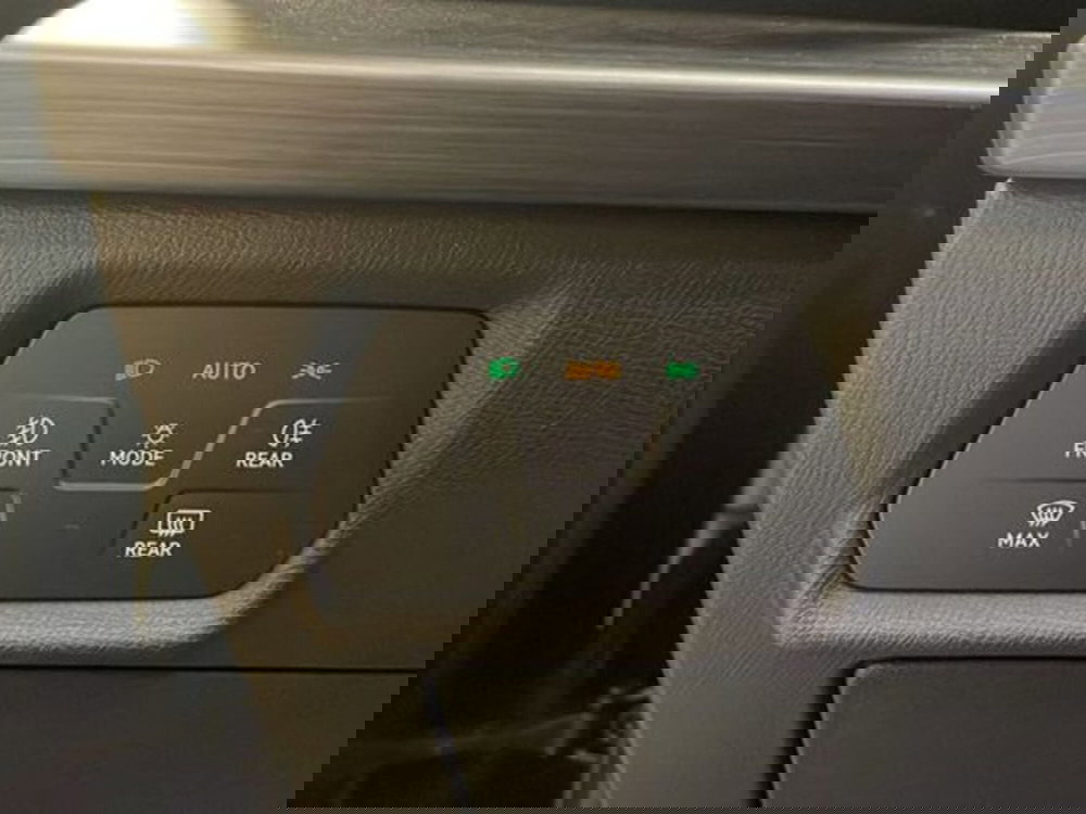 Cupra Formentor usata a Vicenza (18)