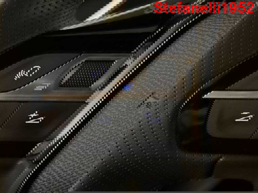 Peugeot 2008 usata a Bologna (20)