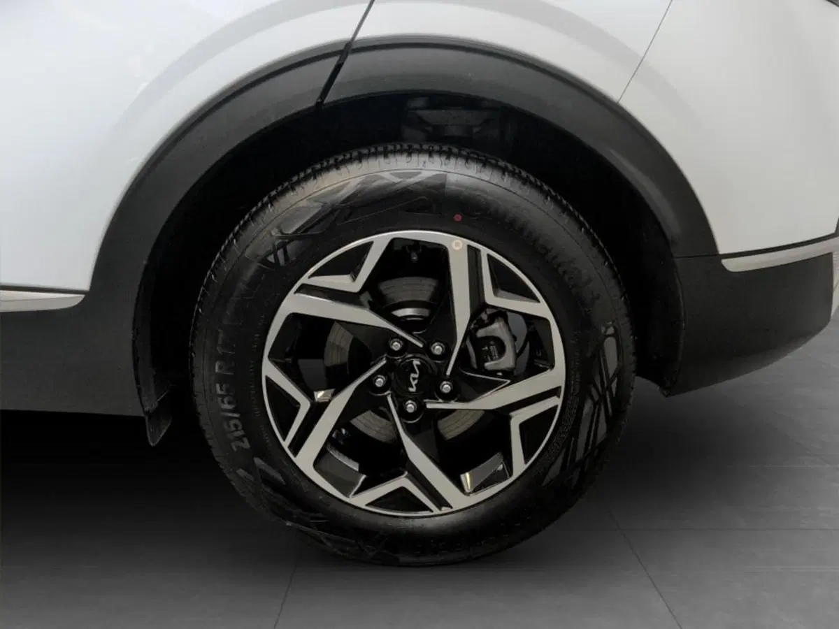 Kia Sportage usata a Piacenza (13)