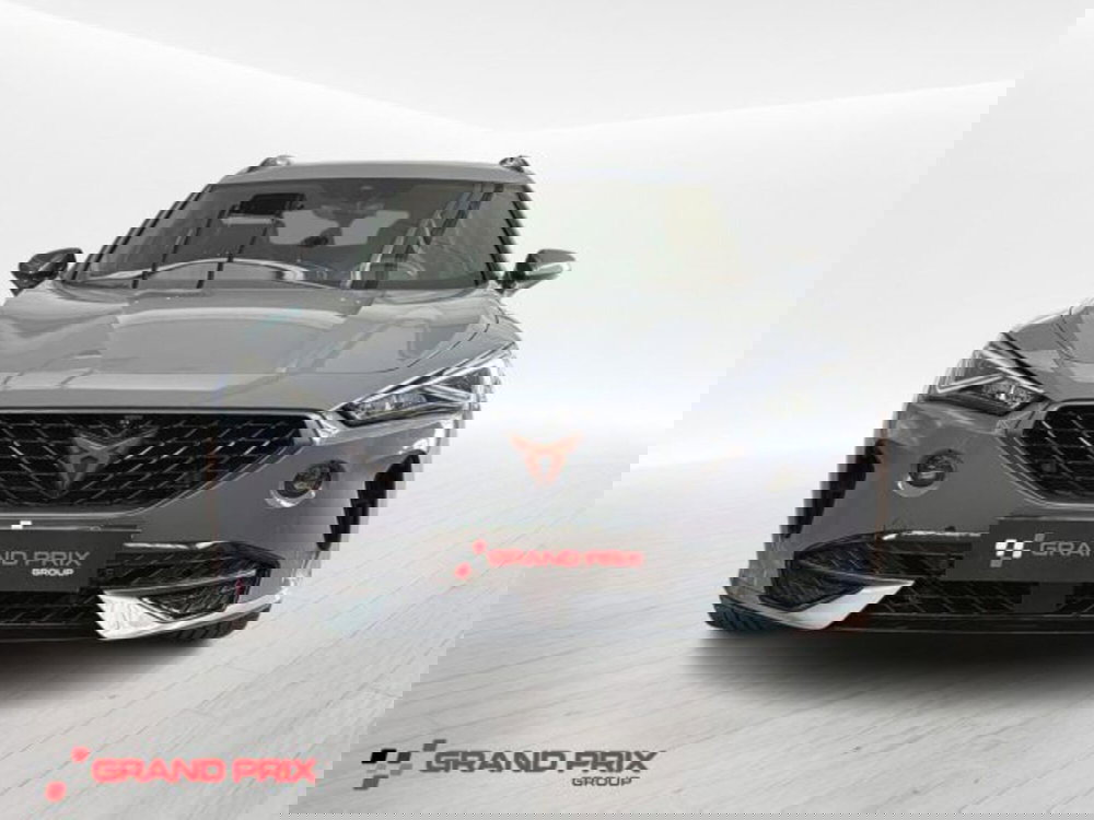 Cupra Formentor usata a Bologna (4)