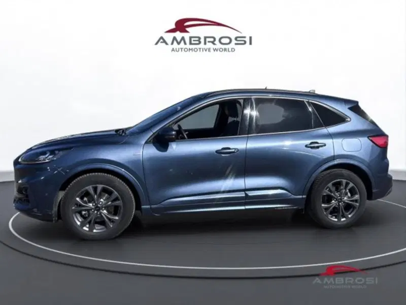 Ford Kuga usata a Perugia (6)