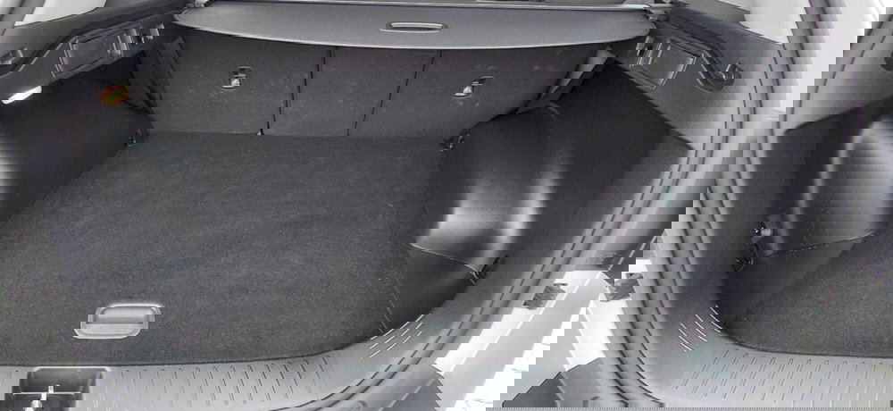 Kia Sportage usata a Cosenza (15)