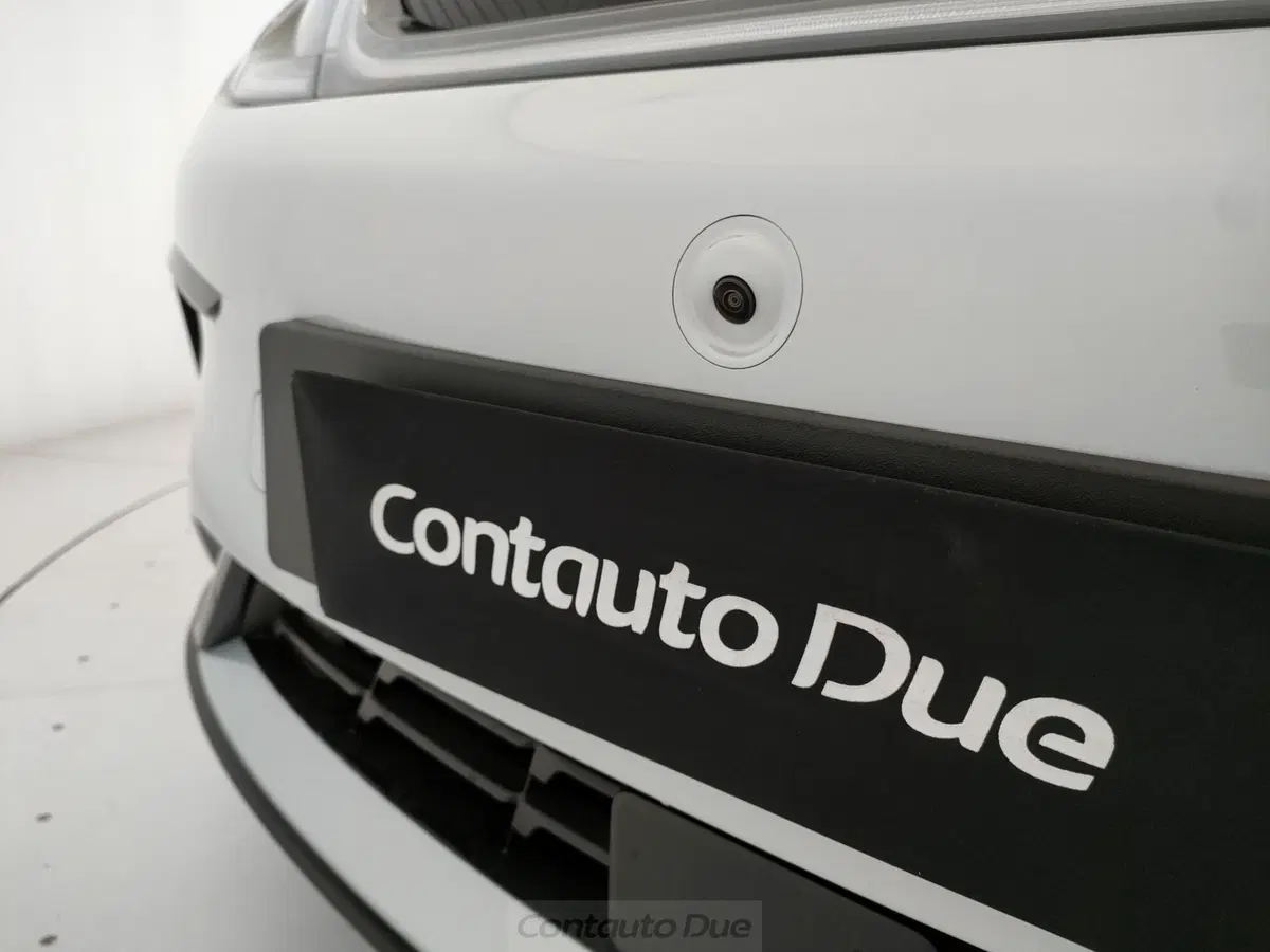 Byd Dolphin nuova a Caserta (20)