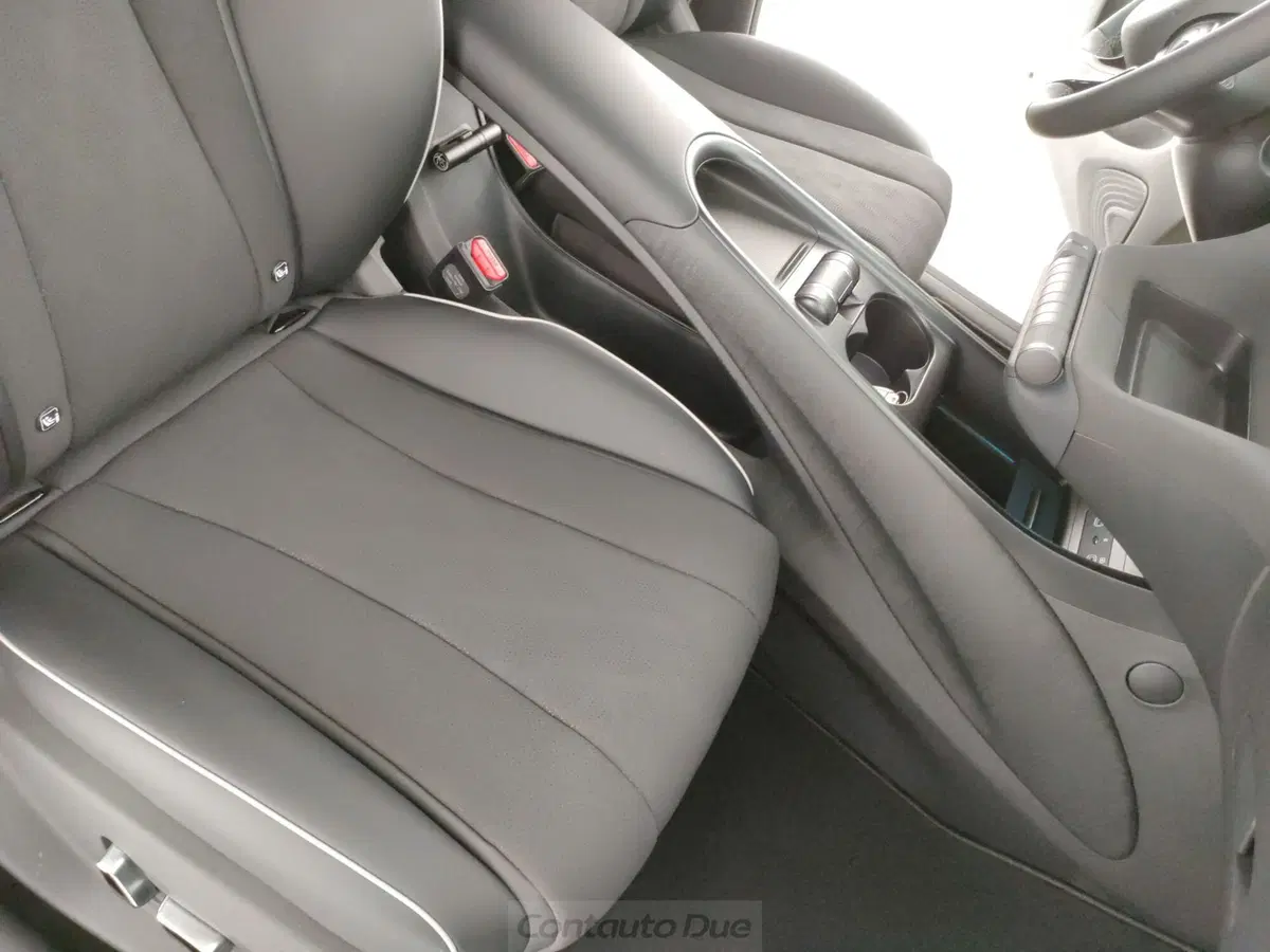 Byd Dolphin nuova a Caserta (15)
