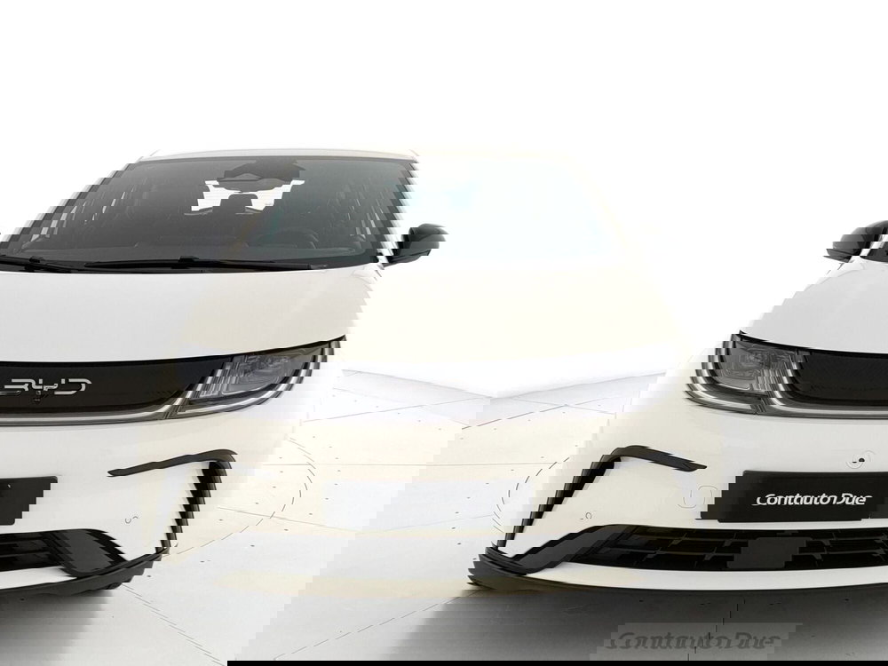 Byd Dolphin nuova a Caserta (2)