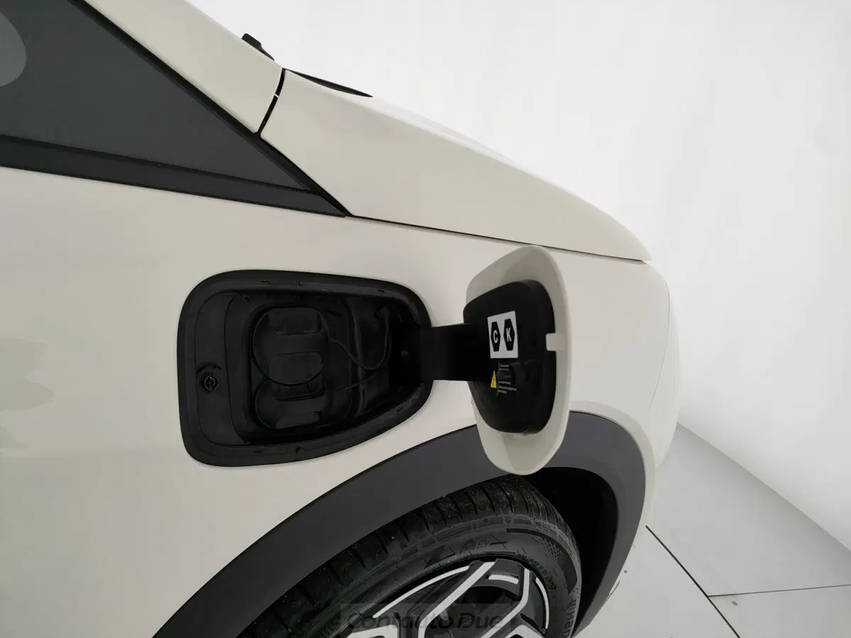 Byd Dolphin nuova a Caserta (20)