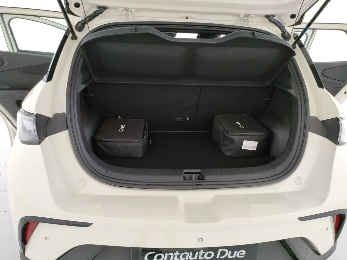 Byd Dolphin nuova a Caserta (9)