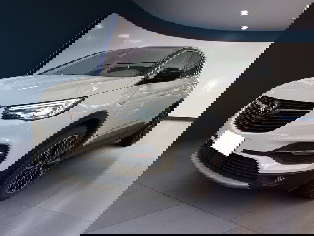 Opel Grandland usata a Torino (3)