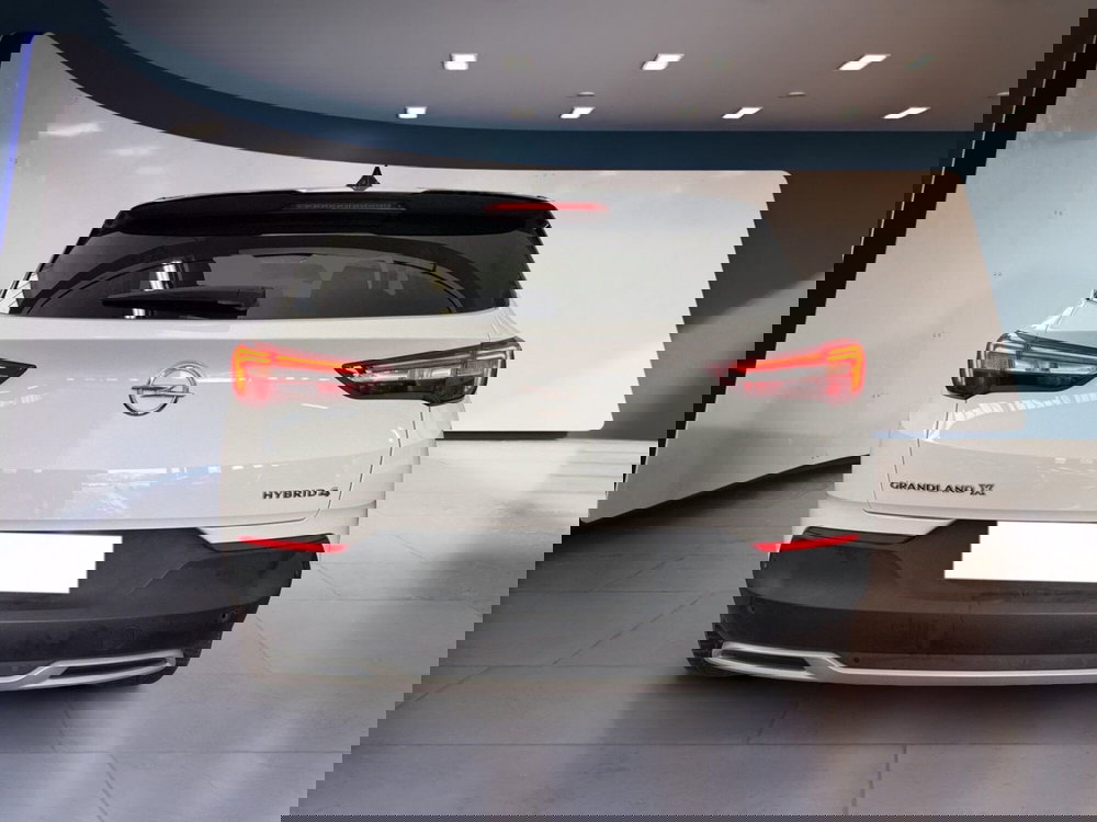 Opel Grandland usata a Torino (5)