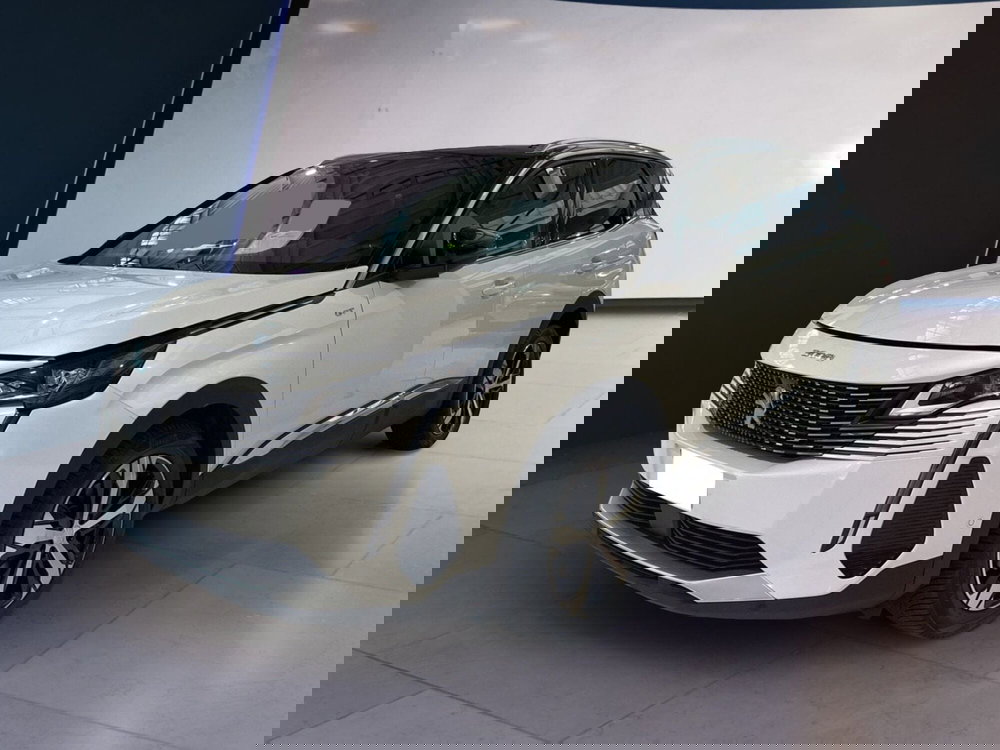 Peugeot 3008 usata a Torino (2)