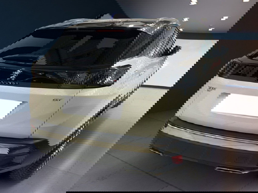 Peugeot 3008 usata a Torino (4)