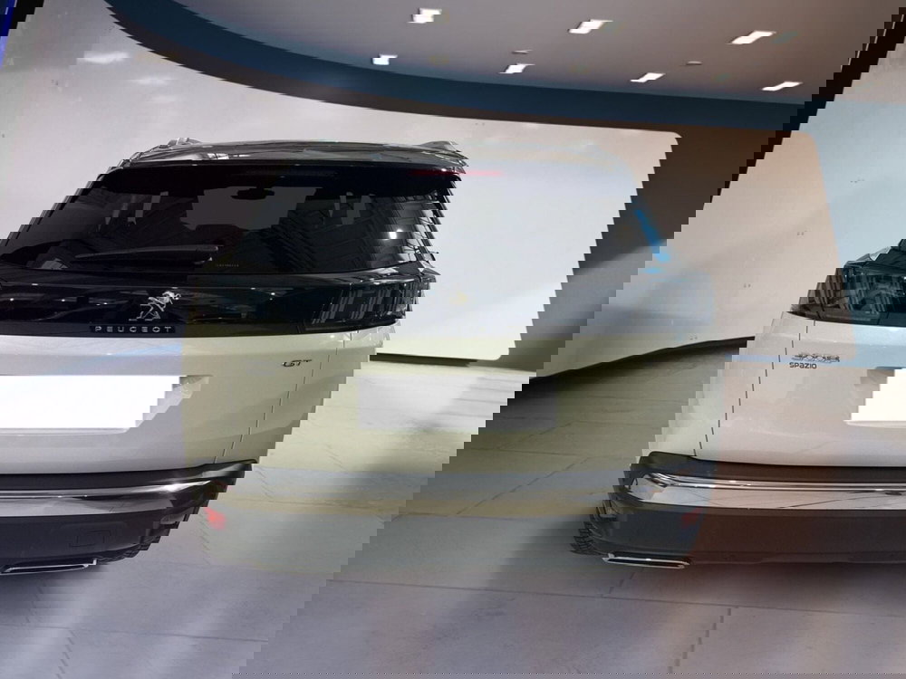 Peugeot 3008 usata a Torino (5)