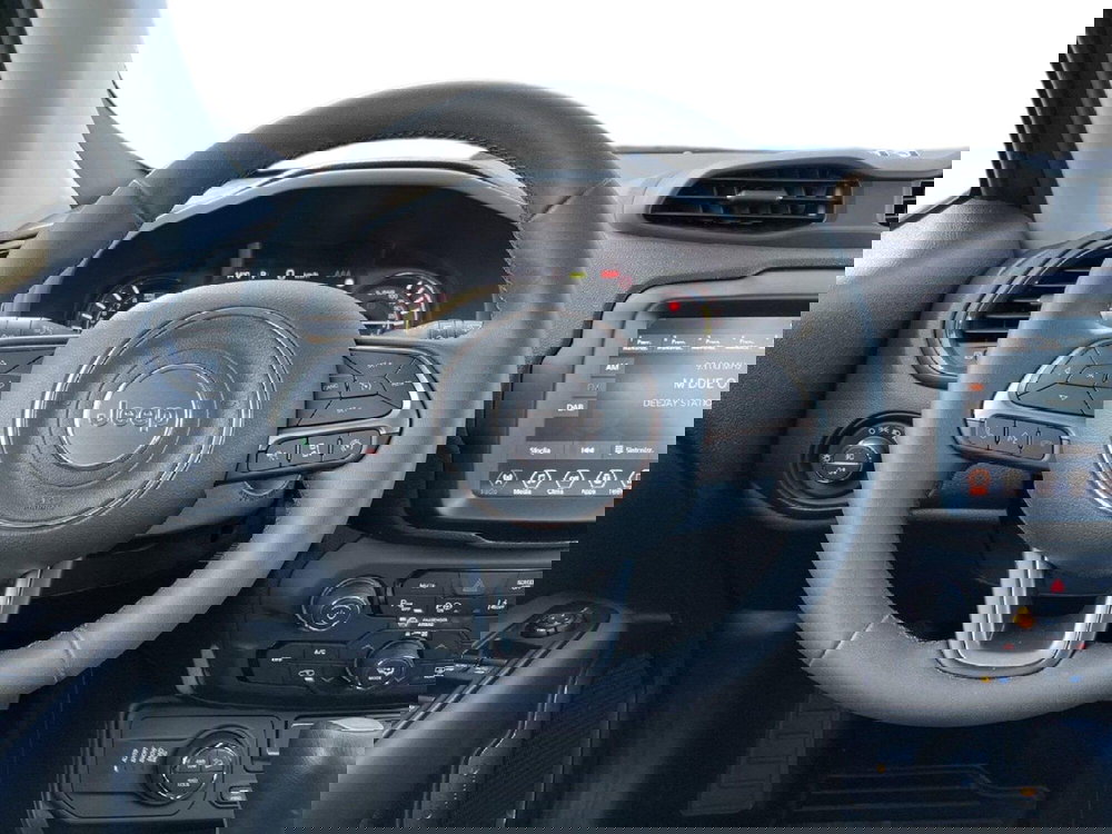 Jeep Renegade usata a Torino (11)