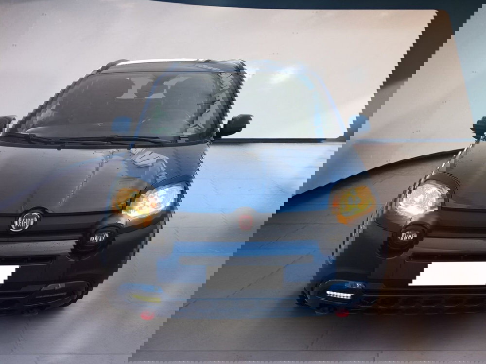 Fiat Panda usata a Torino