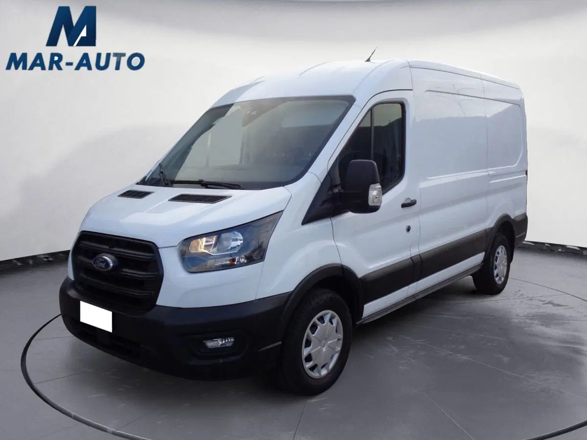 Ford Transit Furgone usata a Treviso
