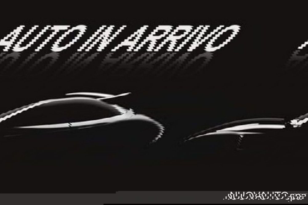 Ford Fiesta usata a Arezzo