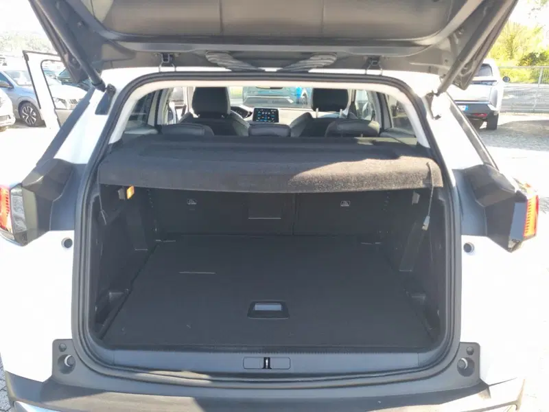 Peugeot 3008 usata a Lucca (14)