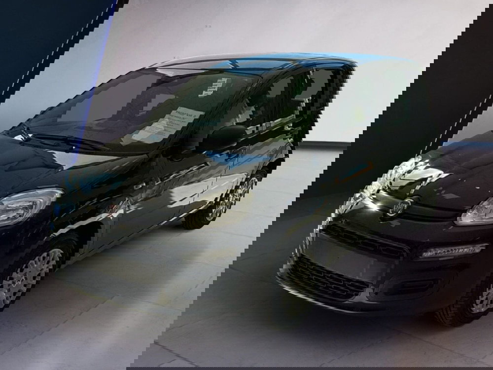 Fiat Panda nuova a Arezzo