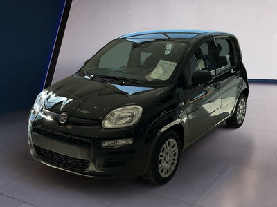 Fiat Panda 1.0 firefly hybrid Icon s&amp;s 70cv nuova a Arezzo