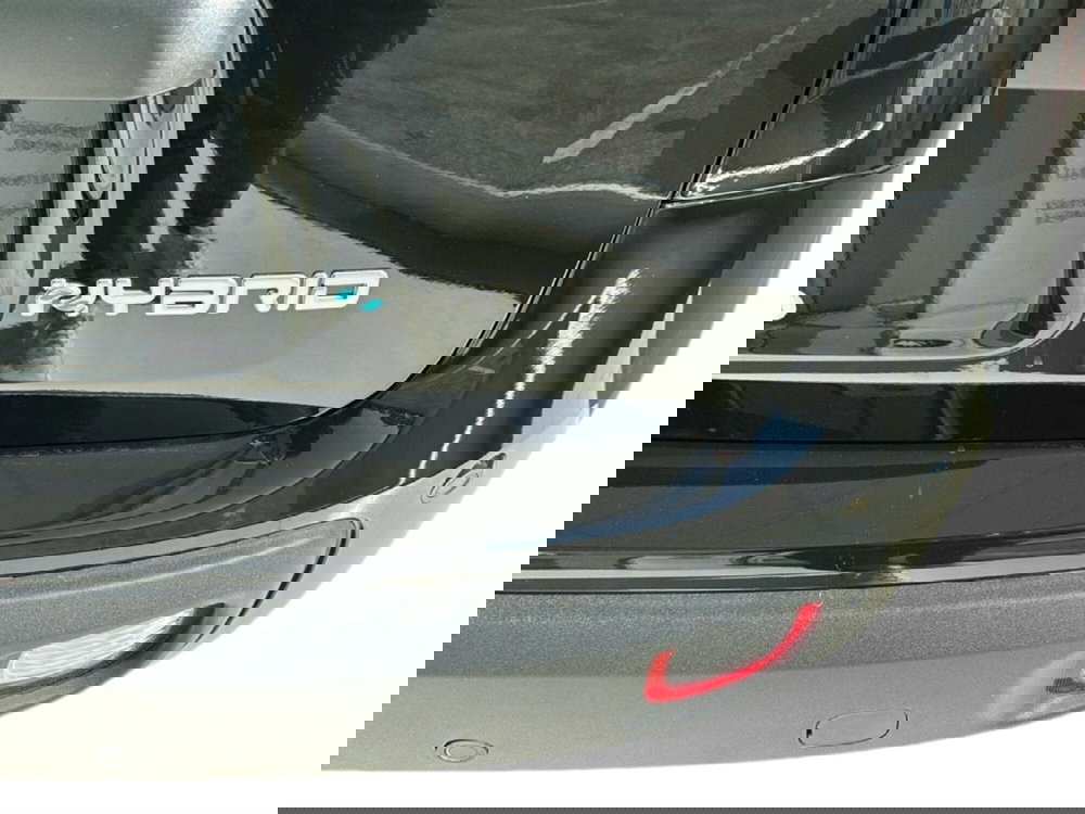 Fiat Panda nuova a Arezzo (12)