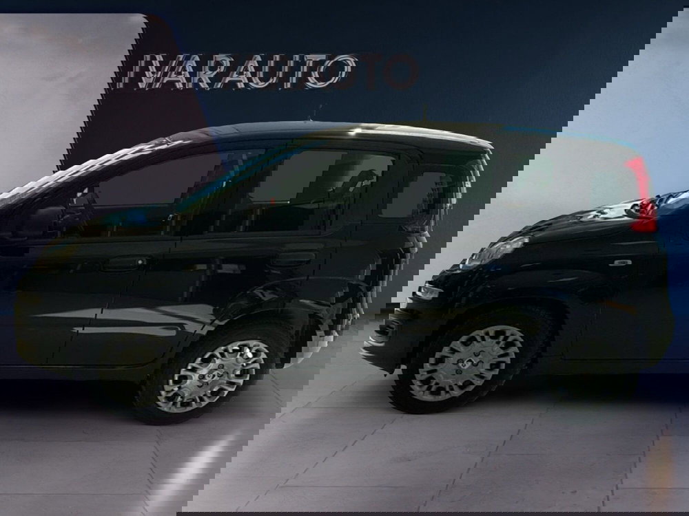 Fiat Panda nuova a Arezzo (2)