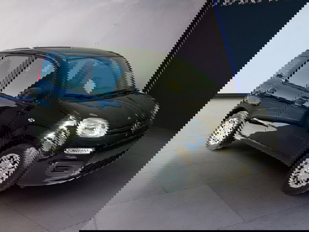 Fiat Panda nuova a Arezzo (3)