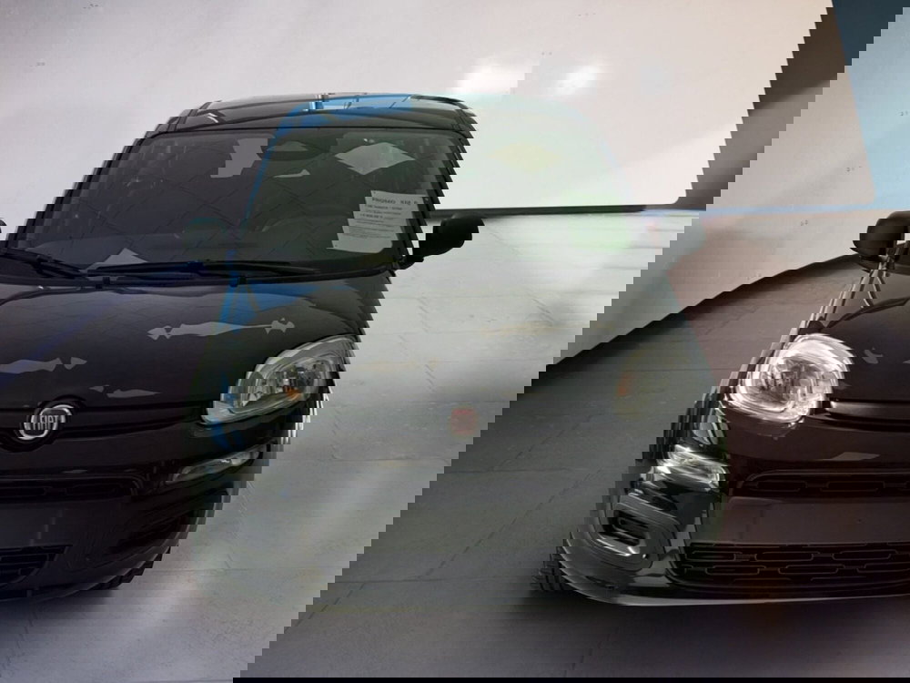 Fiat Panda nuova a Arezzo (4)