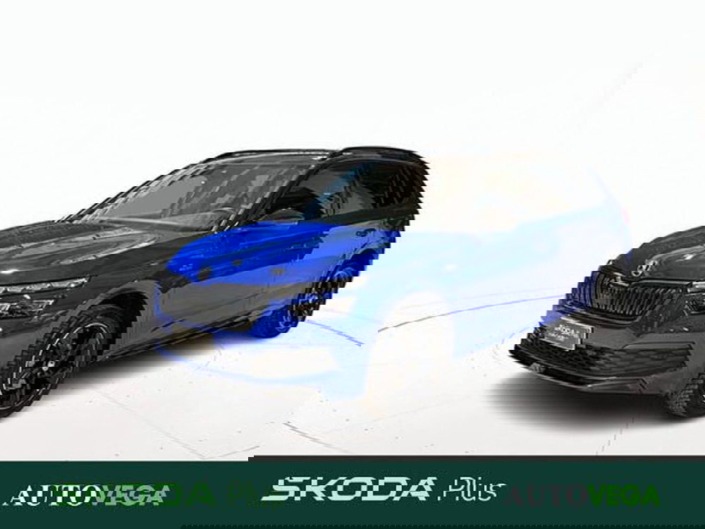 Skoda Kamiq usata a Vicenza