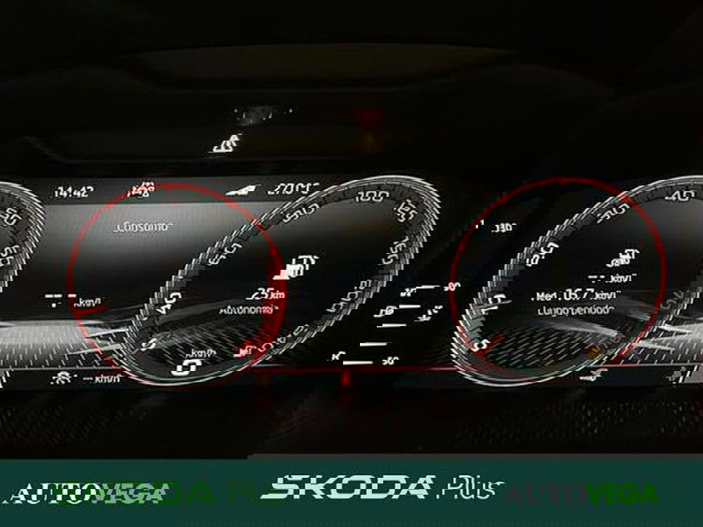 Skoda Kamiq usata a Vicenza (14)