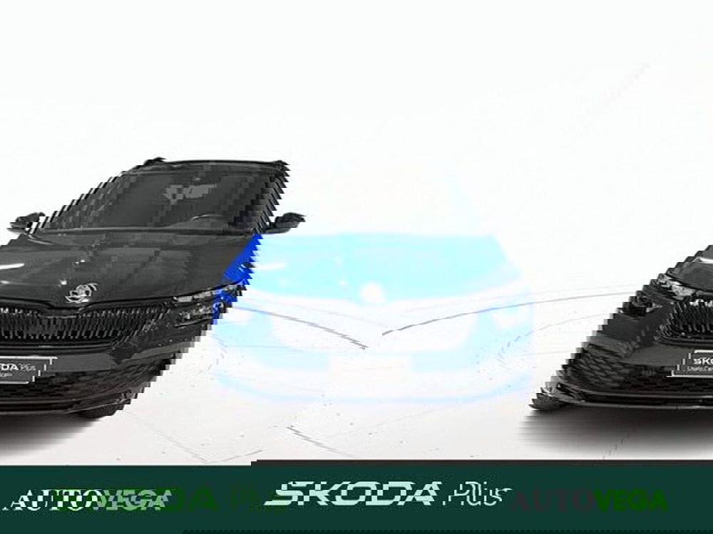 Skoda Kamiq usata a Vicenza (2)