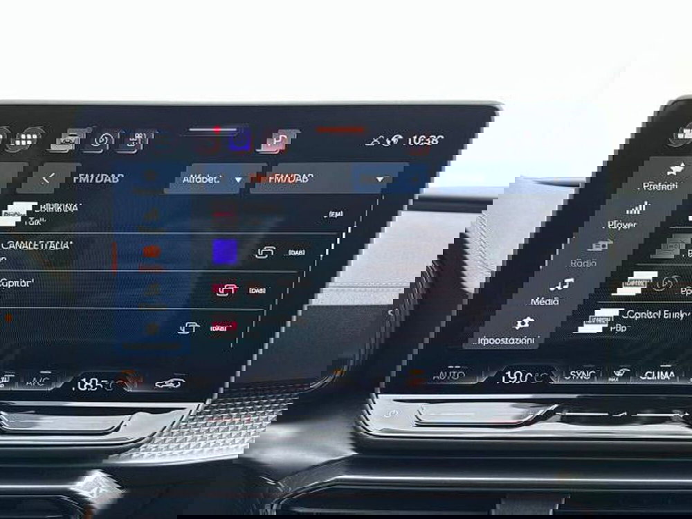 Cupra Formentor usata a Vicenza (16)