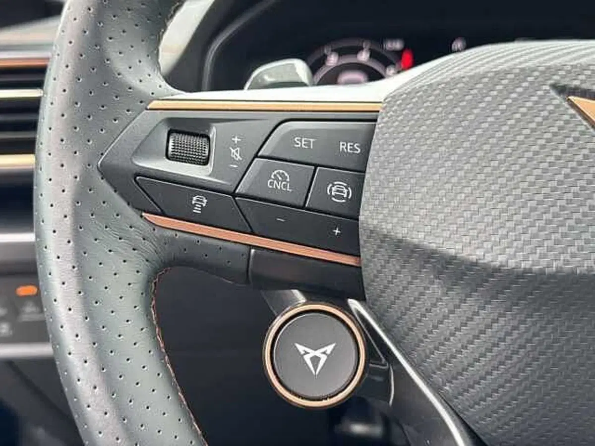Cupra Formentor usata a Vicenza (19)